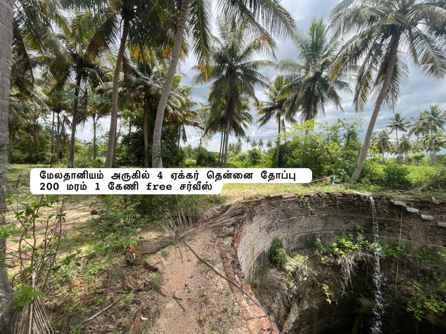 3 Acre 60 Cent / 200 Coconut tree / 2 Bore 1 Keni / 10 Years Maram / Acer 30 Lakhs / 1 Crore 15 Lakhs / Melathaniyam Near Road Face Property / PL 458