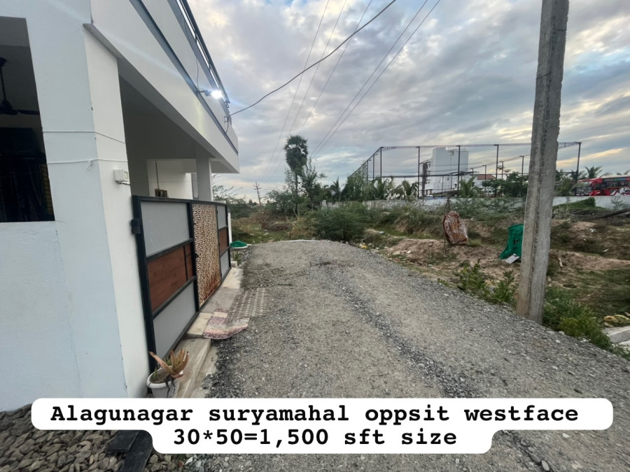 30*50 = 1500 Sqft Plot Size / West Facing / Per Sqft Rate = 2600 - Negotiable / Total Rate Rs = 3900000 / Alagunagar Surya Mahal Oppsit - Maravapatti - Malaiyeedu - Pudukkottai / PL 463