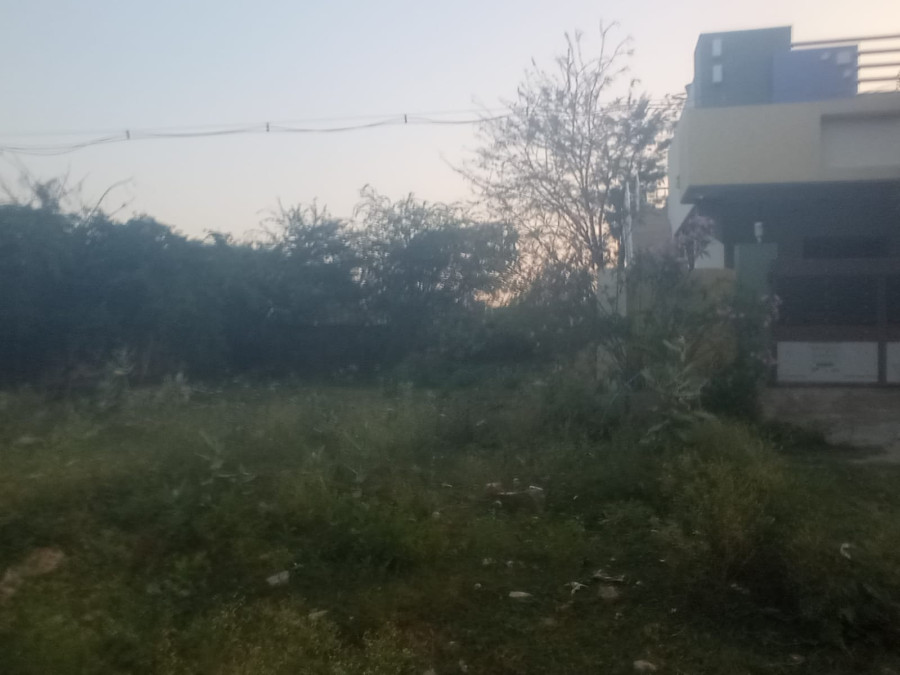 2783 Sqft / North Facing / Bharathi Nagar, Malaiyeedu, Petrol Pangku Backside, Mandapam Arugil, - Pudukkottai / Per Sqft Rate = 4500 / Total Rate = 12523500 / PL 447
