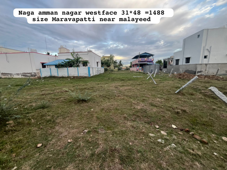 31*48 = 1488 Sqft Plot Size / West Facing / Per Sqft Rate Rs = 2600 / Total Rate = 3868800 / Naga Amman Nagar - Maravapatti Near - Malaiyeedu - Pudukkottai / PL 462
