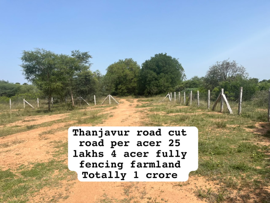 Thanjavur road Cut road / Per acer 25 Lakhs  / 4 acer  Fully Fencing Farmland / Total Rate = 1 Crore / FL 665