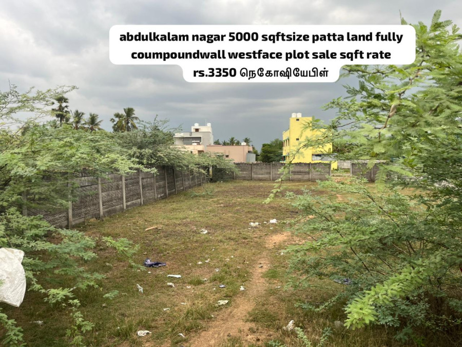5000 Sqft Plot Size / West Facing / Per Sqft Rate = 3350 - Negotiable / Patta Land Fully Coumpoundwall  / Abdulkalam Nagar  Near SFS School Pudukkottai / Total Rate Rs = 16750000 / PL 475