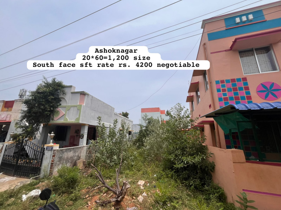 20*60 = 1200 Size / South face / Per Sqft Rate = 4200 - Negotiable / AshokNagar / PL 501