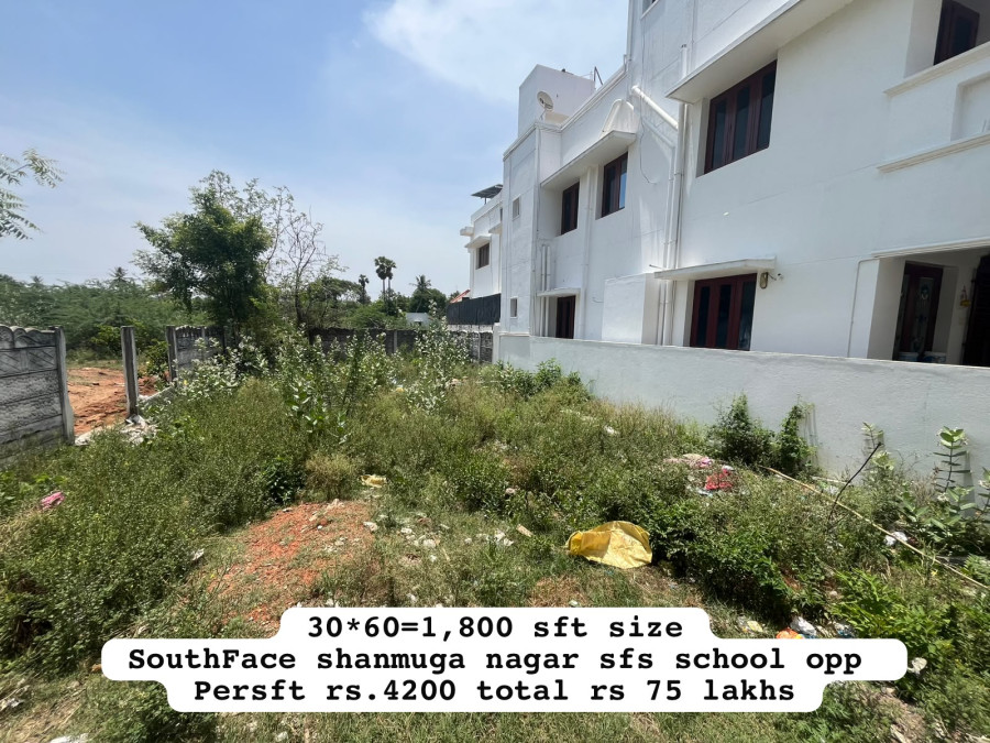 30*60 = 1800 Sqft Plot Size / South facing / Per Sqft Rate = 4200 / Total Rs = 75 Lakhs / Shanmuga Nagar SFS School Oppsite / PL 493