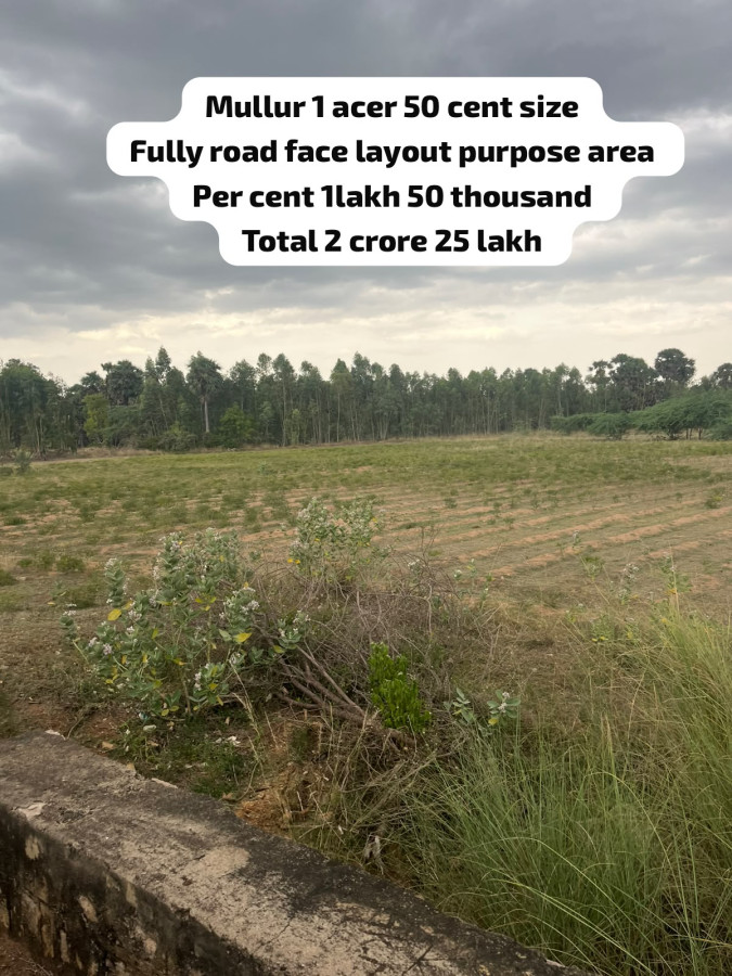 Mullur 1 Acer 50 Cent Size / Fully Road Face Layout  Purpose area / Per Cent 1 Lakhs 50 Thousand / Total Rate =  2 Crore 25 Lakhs / IN 345
