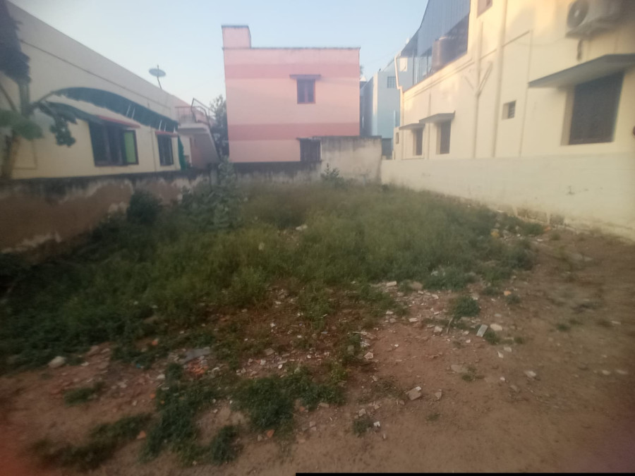 30*50 = 1500 Sqft / Bore Compoundwall Building Approval & Chennai Approval Iruku / Rate rs. 4200 Negotiable / Poonga Nagar, Salam Palli Vaasal, Meenatchi Nagar, Near TVS - Pudukkottai / 63 Lakhs / PL 446