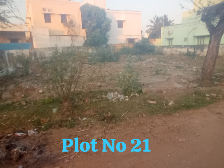 2480 Sqft Plot Size / South Facing / Poonga Nagar Ulpuram, Salam Pallivaasal Arugil, Koodal Nagar - Malaiyeedu - Pudukkottai / Rate Rs. 10416000 / PL 451