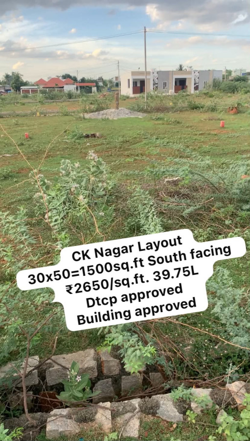 30*50 = 1500 Sqft Plot Size / South Facing / Plot No . 74 / Per Sqft Rate = 2650 / Total Rate = 3975000 / DTCP Approved / Building Approved / CK Nagar Thirukkogarnam - Pudukkottai / PL 478