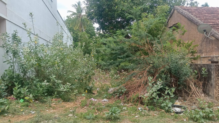 22*160 = 3520 Sqft Plot Size / East 6 Street / Per Rate = 3000 / Bose Nagar - Pudukkottai / Total Rate = 1 Crore 5 Lakhs 60 Thousand / PL 491