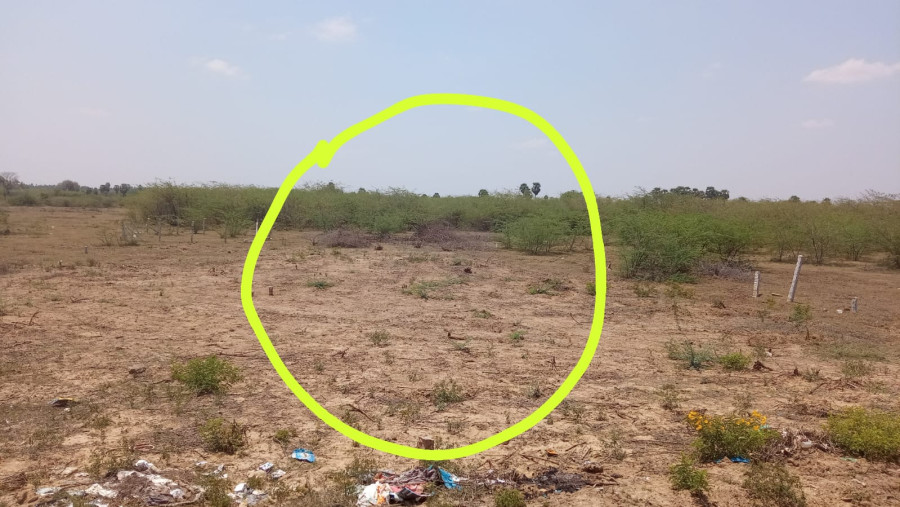 30*40 = 1200 Sqft  Plot Size / Plot NO : 33 / Rate Rs. 14 Lakhs Negotiable / South Facing / Amuthaam Pal Nagar, Maravapatti Ethirpuram, Kanakampatti Salai - Malaiyeedu - Pudukkottai / PL 452